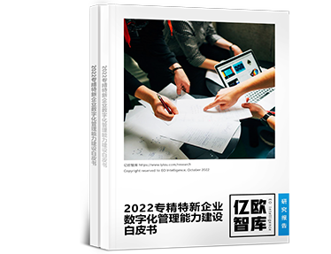 2022专精特新企业数字化治理能力建设白皮书